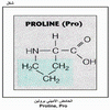 ������ ������� ������ Proline, Pro