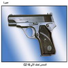    CZ 10