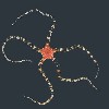         Ophioderma appressum   