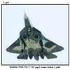     Sukhoi PAK FA T-50