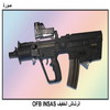   OFB INSAS